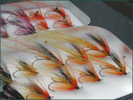 Ally's Shrimps and Cascades