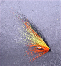 Blackback Tube Fly