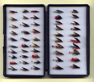 Trout Flies - Plastic box