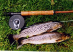 Brown trout fishing - a nice brace from the loch.