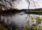 Nice fly water on the River Allan, Kinbuck, Perthshire.