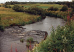 River Allan at Ashfield - Salmon and Sea Trout fishing.