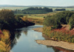 River Allan, Perthshire - Small spate river offering salmon, sea trout and brown trout fishing. Permits from Allan Water Angling Improvement Association.