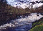 River carron - trout fishing