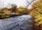 River Carron - Salmon, trout and sea trout fishing at Headswood.