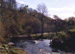 River Carron - Trout fishing