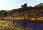 River Clyde, Lamington - trout and grayling fishing, Lamington Angling Club.