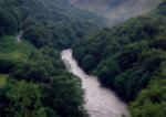 River Towy, Wales - Upper River - sea trout fishing