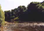 Fishing River Annan, Hoddom - Milkfoot