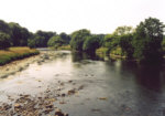 Fishing River Annan - Hoddom