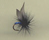 Trout Fly - Bluebottle