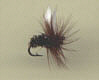 Trout Fly - Coachman