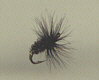 Trout Fly - Coch y Bonddu