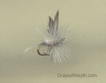 dry flies