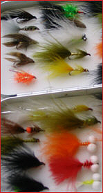 selection of trout lures