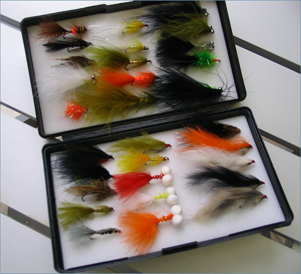 Trout Lures