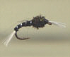 Trout Nymph - Black Buzzer