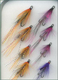 Ally's Shrimp and Cascade selection