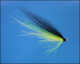 Blackback Needle Tube Fly
