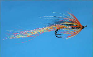 Cascade Shrimp