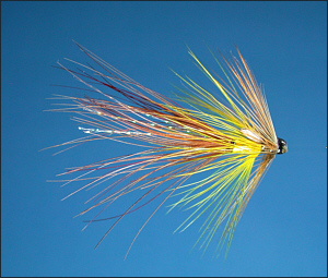 Tube Fly Article