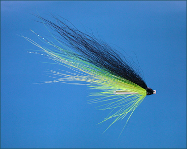 Blackback Salmon Fly Selection