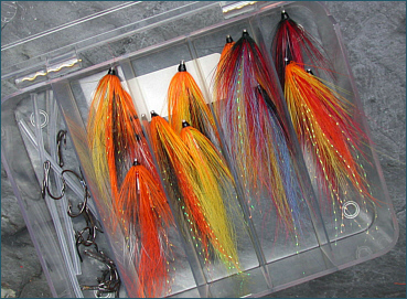 Scottish Shrimp Salmon Fly Selection