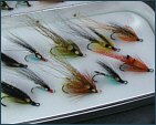 Modern Salmon Doubles