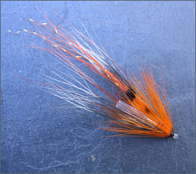 Ally's Shrimp needle tube fly