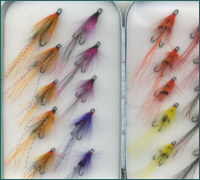 Ally's Shrimps and Cascades
