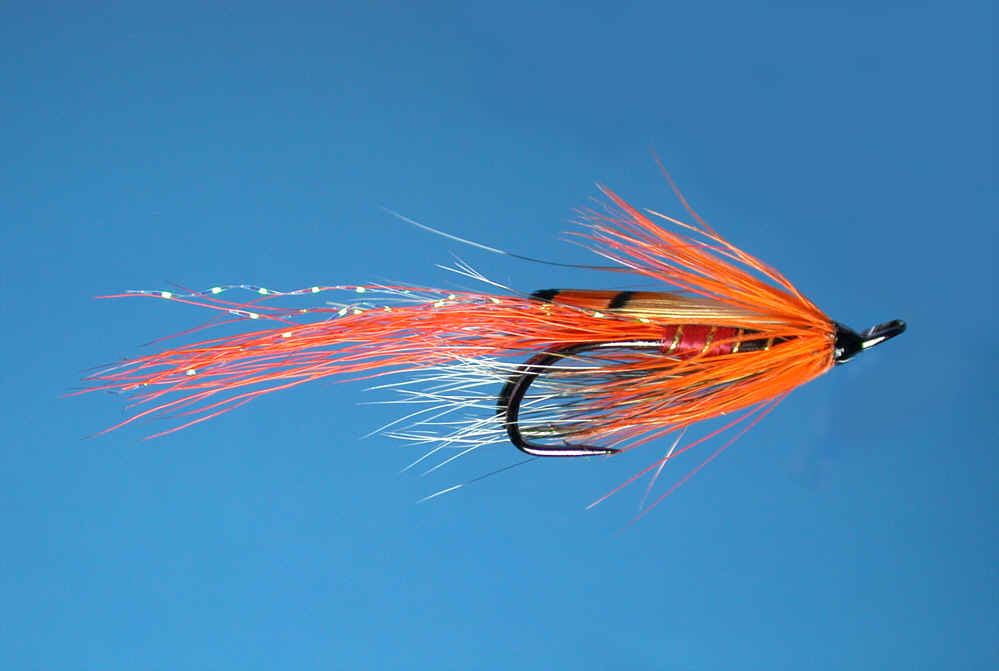 Modern Salmon Flies