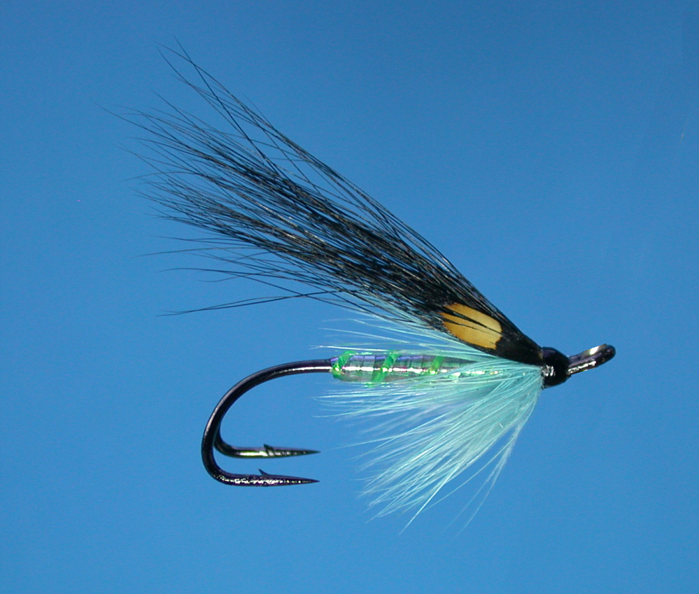 The Editor Fly fishing flies pattern, Salmon flies, Steelhead flies