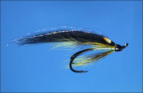 Posh Tosh salmon Fly
