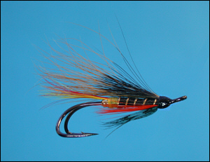 Thunder and Lightning salmon fly