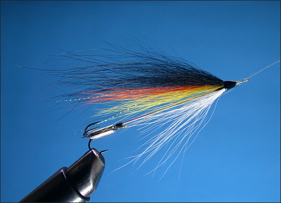 The Needle Fly