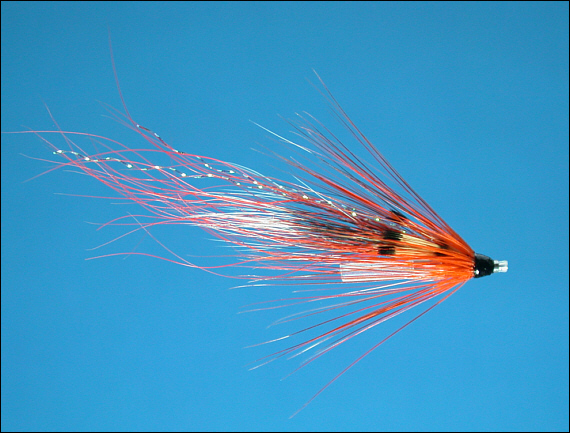 Ally's Shrimp Salmon Tube Fly