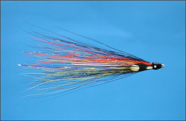 Grays Needle Tube Fly - Black & Orange