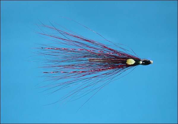 Stainless steel Grays Needle Tube