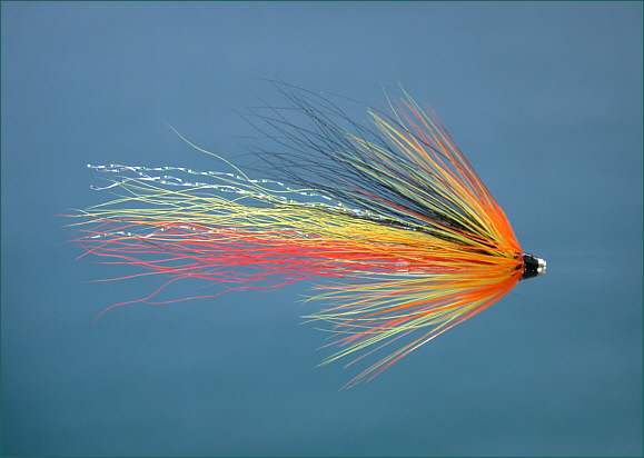 Cascade Shrimp salmon tube fly