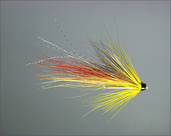 Spey Shrimp Salmon Tube Fly