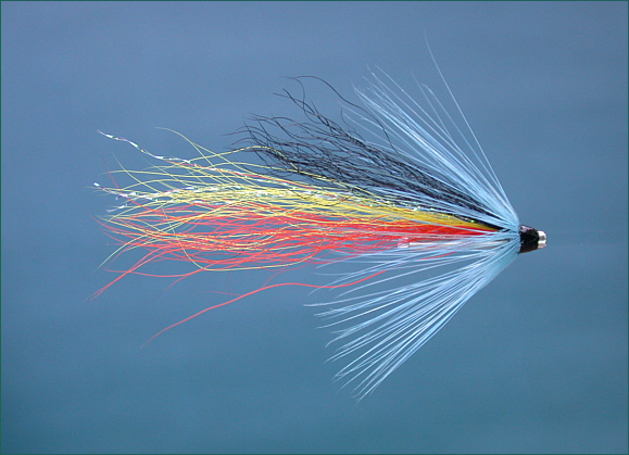 Munro Shrimp salmon tube fly