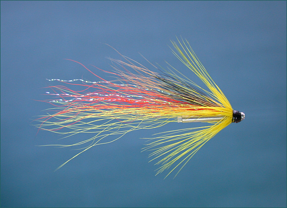 Spey Shrimp Salmon Tube Fly