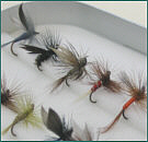 Trout Flies