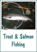 Trout and Salmon Fishing