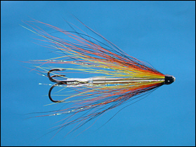 Willie Gunn salmon tube fly