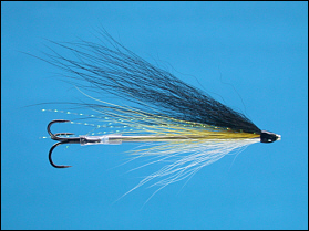 Black & Yellow Tube Fly