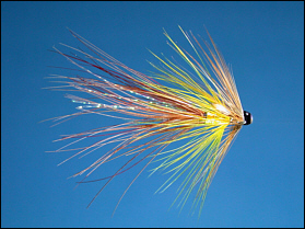 Irish Shrimp Tube Fly