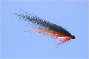 Wee Spey Monkey Salmon Tube Fly