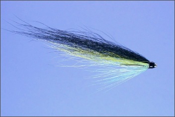 Wee Dee Monkey Salmon Tube Fly