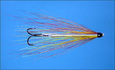 A Salmon Needle Tube Fly